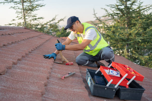 Best Roof Maintenance Services  in James City, NC